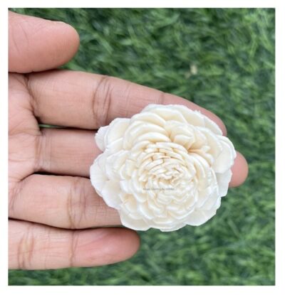 sphinx sola paper bailey flower cream 4 cms 2