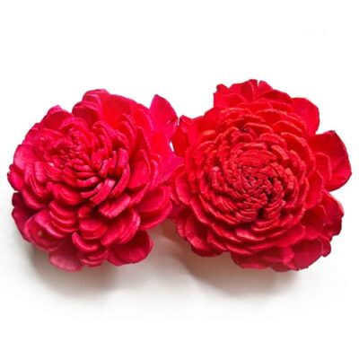 sphinx sola paper bailey flower red 4 cms 1